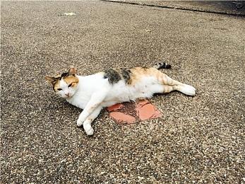 育碧《冠军冲刺》x《街头涂鸦》联动6月27日上线