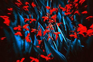 任天堂公布与大型商社合作计划 对抗Switch 2倒卖行为